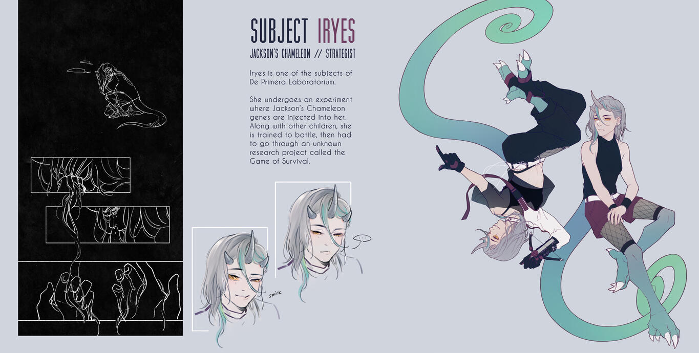 Subject IRYES